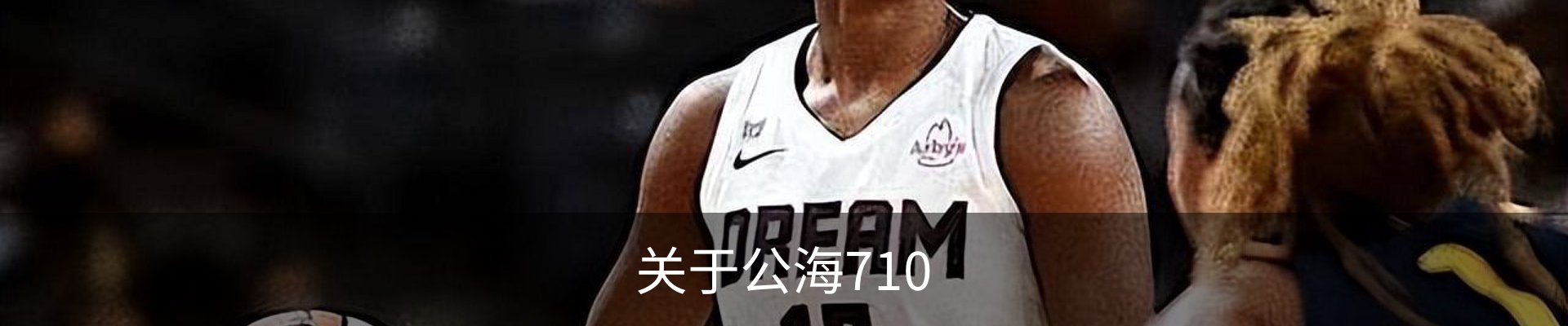 关于公海710